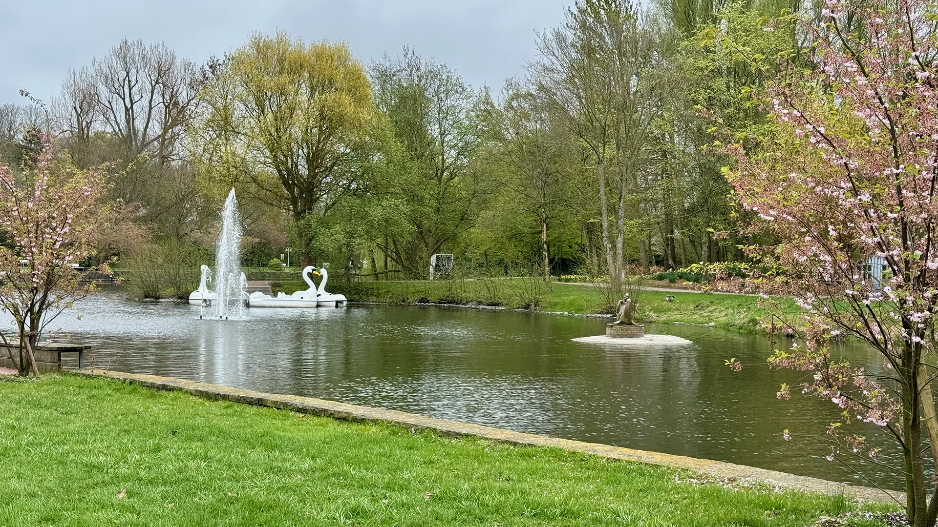 Pinguine bei der Fütterung